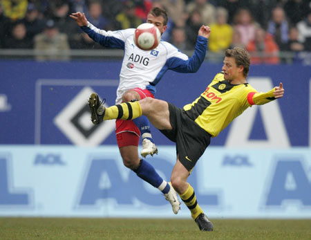 其收录了公 其收录了公